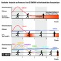 Ausdauer Booster aus komplexen Kohlenhydraten & Elektrolyten